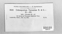 Coleosporium vernoniae image